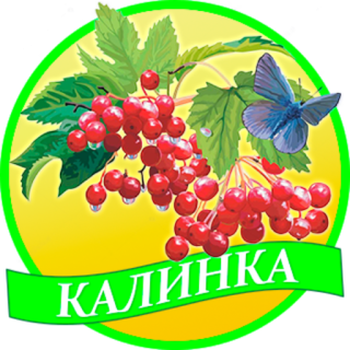 Муниципальное автономное дошкольное образовательное учреждение «Детский сад №1 «Калинка» общеразвивающего вида» Муниципальное автономное дошкольное образовательное учреждение «Детский сад №1 «Калинка» общеразвивающего вида»